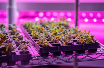 How Do You Prevent and Control Pests in Indoor Hydroponic Systems?