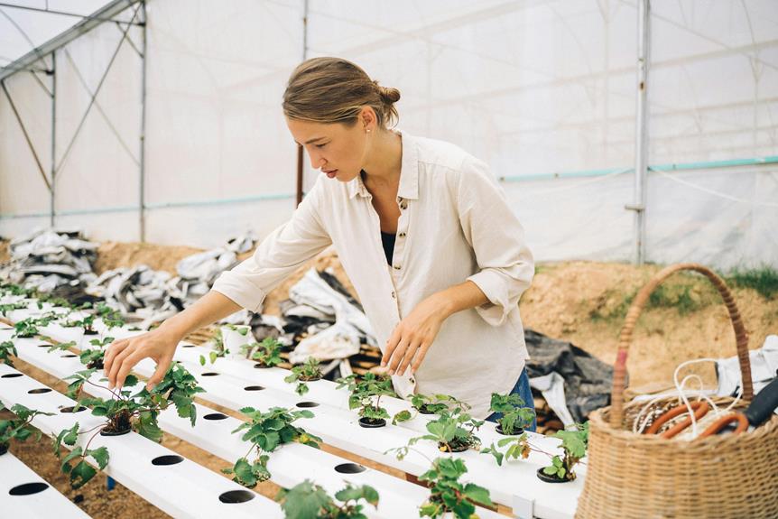 optimal watering systems indoors